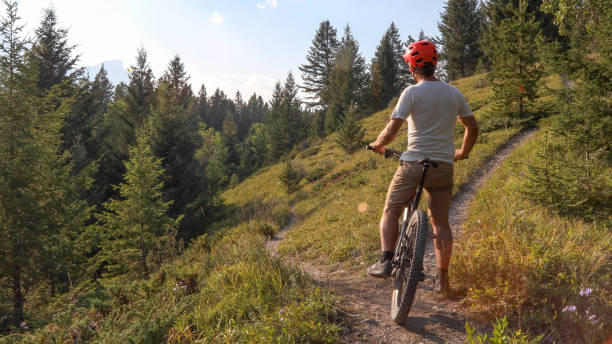 istock Male mountain biker walks along forested footpath 1187858142