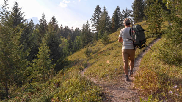 istock Male hiker walks along forested footpath 1187858397