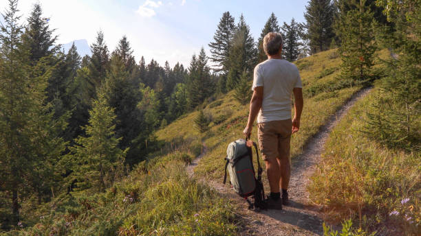 Male hiker walks along forested footpath