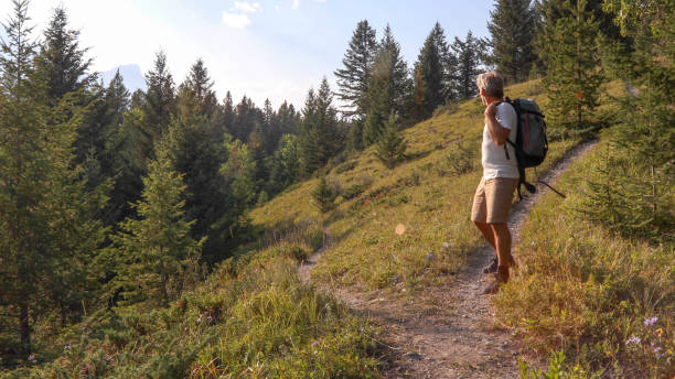 istock Male hiker walks along forested footpath 1187858536