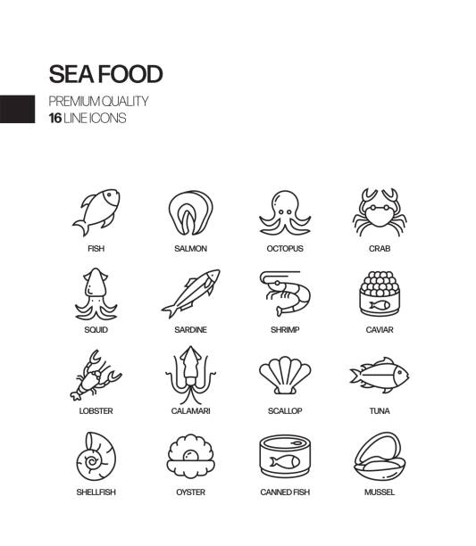 바다 음식 관련 벡터 선 아이콘의 간단한 집합입니다. 윤곽선 기호 컬렉션입니다. - lobster seafood prepared shellfish crustacean stock illustrations
