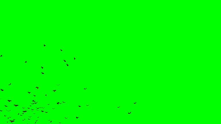 large group of flying mega bats, isolated on green screen