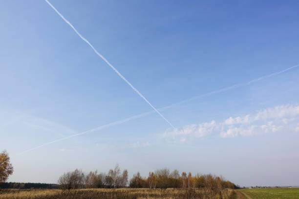 istock field of barley and sunny day 1187866850