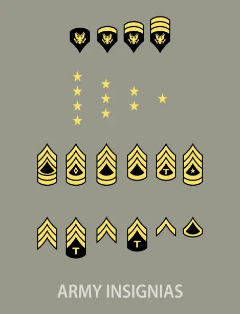 Vector illustration of Army military insignia rank set