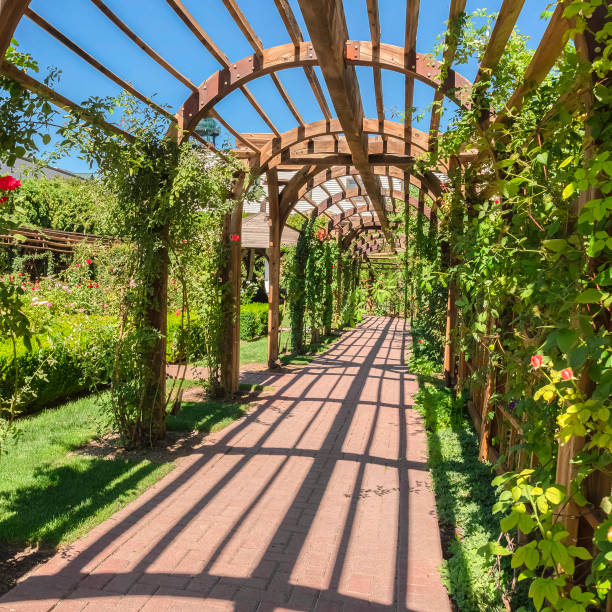 istock Square Stone brick passageway benath an arbor at a sunny garden wedding venue 1187870875