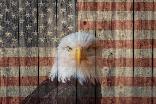 vintage faded american flag and bald eagle painted on the weathered wood side of a barn