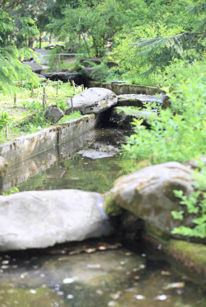 istock japan garden at day 1187875088