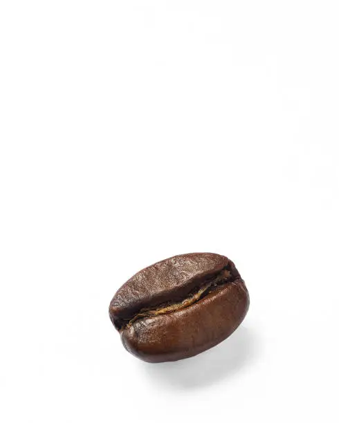 Coffee bean on white background. Stacked macro photography.