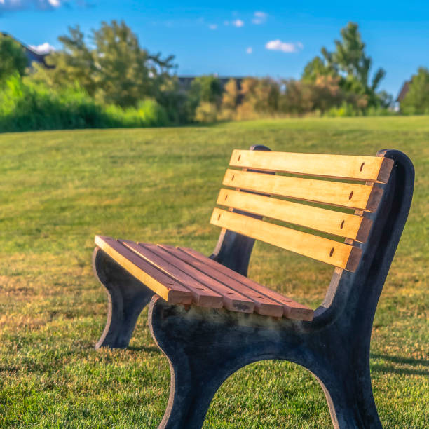 istock Square Focus on an empty outdor bench against short green grasses on a sunny day 1187876167