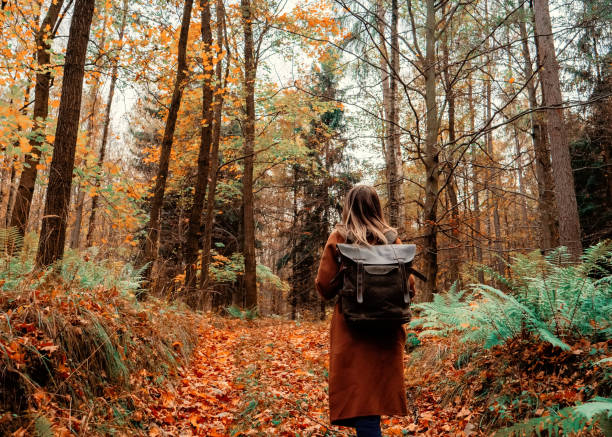 istock girl with a backpack in the autumn forest 1187887637