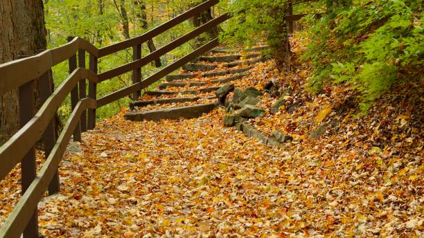 istock wood railing and stone steps on the side of a mountain in a fall setting 1187887768