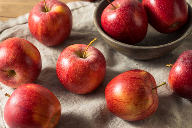生の赤い有機ガラリンゴ - apple gala apple fuji apple fruit ストックフォトと画像
