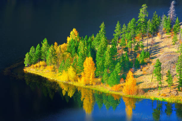 Rose Valley Regional Park's lake, BC Canada View of the peninsula's tip jutting into Rose Valley Regional Park's reservoir near West Kelowna BC on October 12 2013 kelowna-autumn stock pictures, royalty-free photos & images