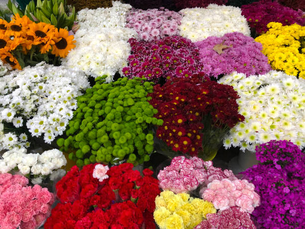 istock Florist shop 1187891725