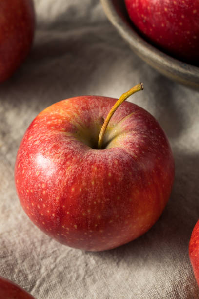 生の赤い有機ガラリンゴ - apple gala apple fuji apple fruit ストックフォトと画像
