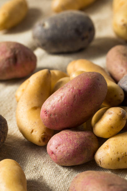 istock Raw Organic Fingerling Potatoes 1187891851