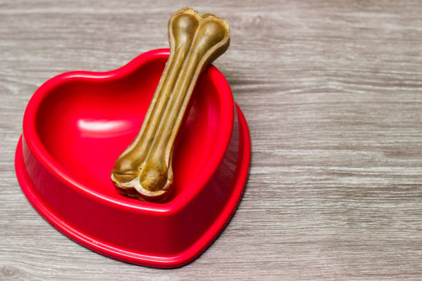 istock Dog bone in the red bowl 1187892829