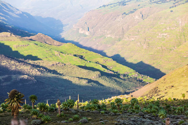istock View down a valley in the Ethiopian highlands 1187892891