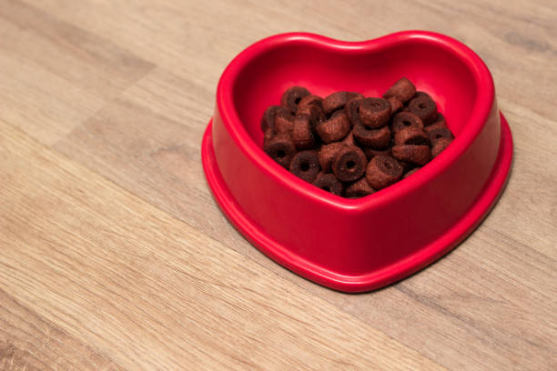 istock Pet food, snacks for dogs 1187893210
