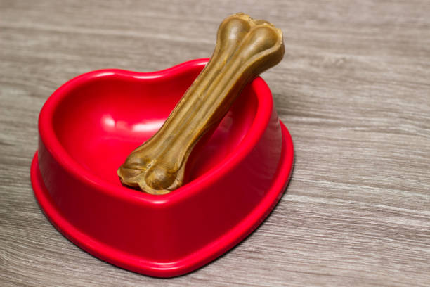 istock Dog bone in the red bowl 1187893341