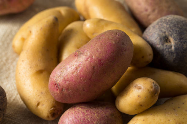 istock Raw Organic Fingerling Potatoes 1187893886