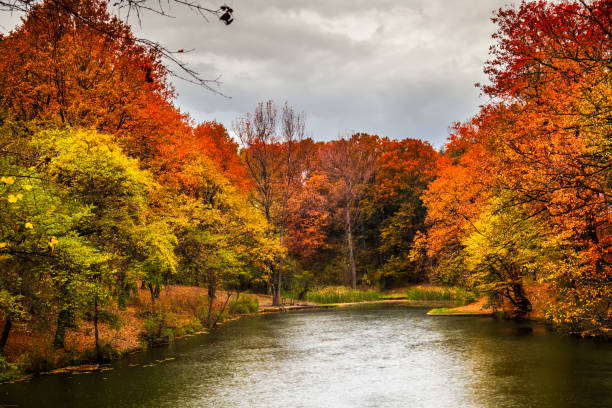 istock Small lake surrounded with forest at autumn 1187897050