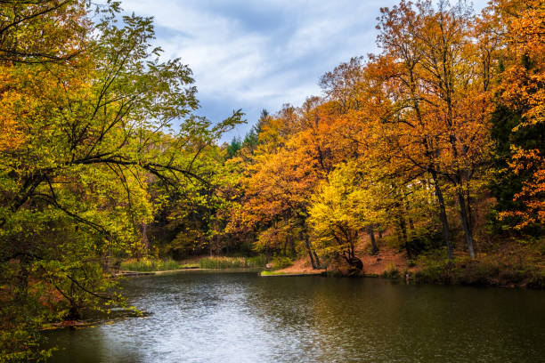 istock Small lake surrounded with forest at autumn 1187897142