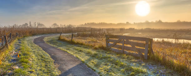 istock Gate in misty agricultural landscape 1187898904