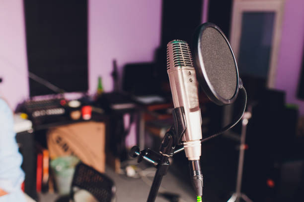 istock Professional condenser studio microphone, Musical Concept. recording 1187901417