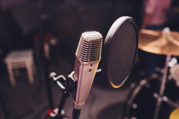 istock Professional condenser studio microphone, Musical Concept. recording 1187901428