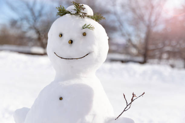 istock Snowman in the morning 1187902485