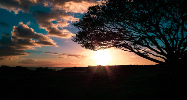 istock Sundown with colorful clouds in the sky 1187908419