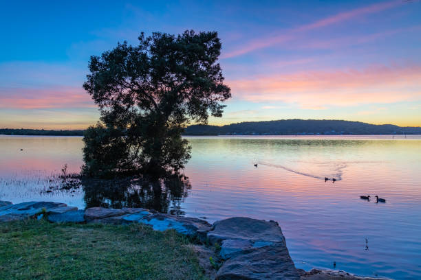 istock Soft and Gentle Sunrise over the Bay 1187909397