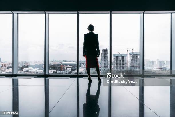 A Silhouette Of A Businesswoman Stock Photo - Download Image Now - Women, CEO, Businesswoman