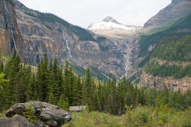 istock Whitehorn campground in Berg lake trail 1187923206