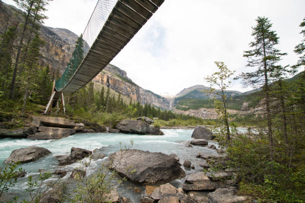 istock Whitehorn campground in Berg lake trail 1187923732