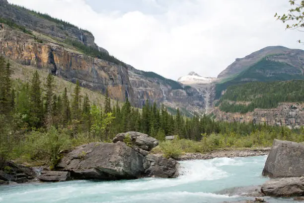A gorgeous valley composed of robson river, suspension bridge and lots of falls
