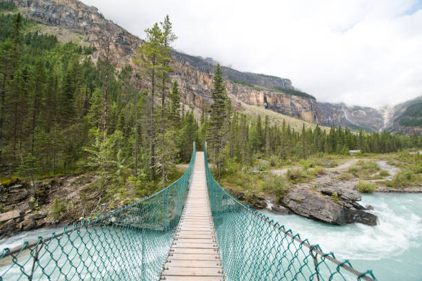 istock Whitehorn campground in Berg lake trail 1187923768