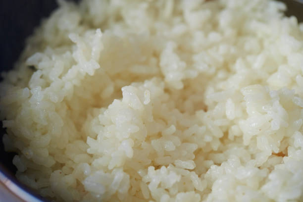 istock Bowl of rice 1187935013