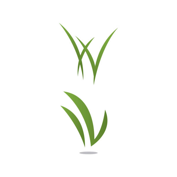 ilustraciones, imágenes clip art, dibujos animados e iconos de stock de hierba remover diseño de logotipo de diseño de la plantilla de la ilustración vectorial - flower sketch yard front or back yard