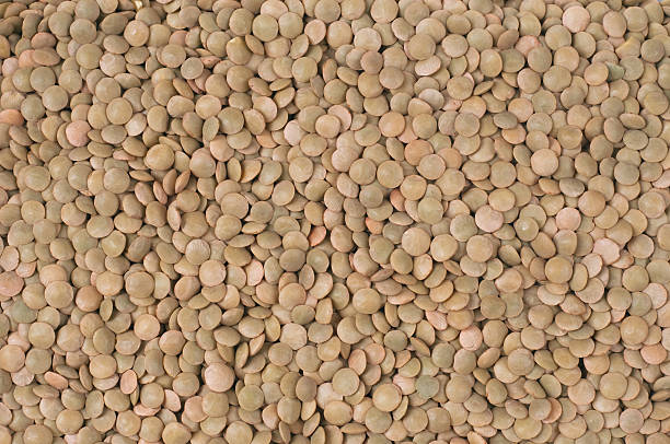 istock Brown Lentil, Brown Plate Lentils 118794656
