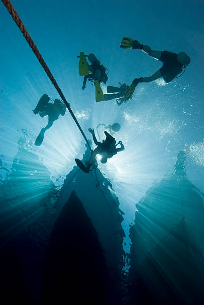 istock Silhouette of divers and dive boat. 118794756