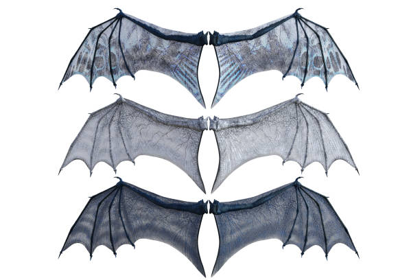 istock Set of dragon wings isolated on white, 3d render 1187948333