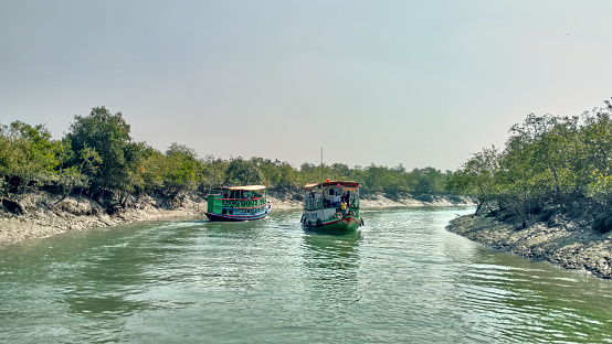 Motorboats consisting mostly of tourists passes through narrow creeks of Sundarbans river delta. The Sundarbans mangrove forest, one of the largest such forests in the world and it is an Unesco World Heritage Site. These mangrove forest/swamps are home to famous Royal Bengal tiger. During high tide, most of the area remains submerged in saline river water.\nShot taken at Sundarbans @ West Bengal on 01/22/2017.