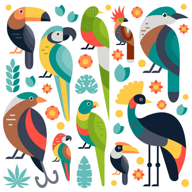 TropicalBirds Flat style illustration with Toucan, Blue and Yellow Macaw, Bird of Paradise and other types of birds. Vector set of Tropical birds with flowers and leaves. hoatzin stock illustrations