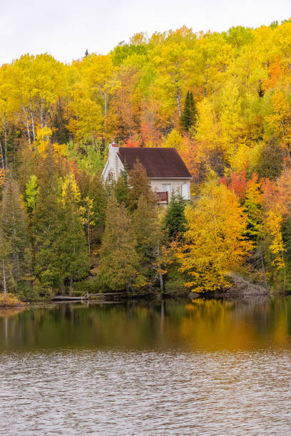 istock House in the forest in Canada 1187956380