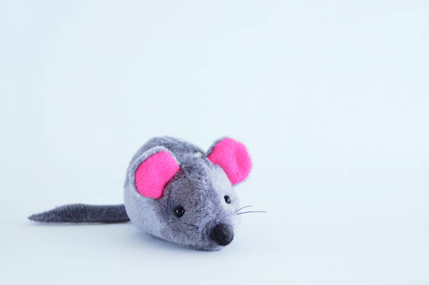 istock Gray soft toy mouse on a white background close-up. 1187957225