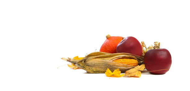 Pumpkin, apples and corn on a white background