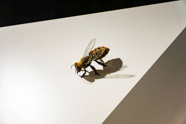 istock Bee toy sitting on the wall. Hard shadows. Interior design. Geometry style 1187966172