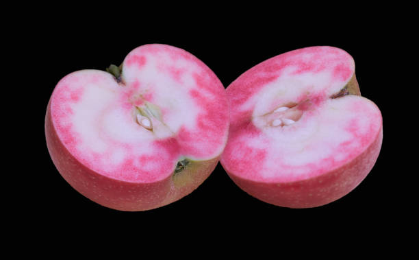 Sliced apple with pink pulp inside, macro, isolated on black. stock photo
